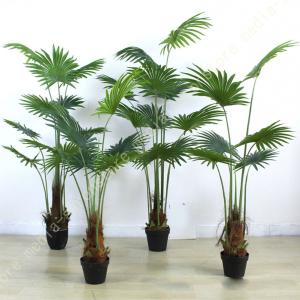 ヤシの木 人工観葉植物 本物そっくり 幸福の木 ...の商品画像