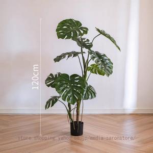 モンステラ フェイクグリーン 大型 観葉植物 ...の詳細画像3