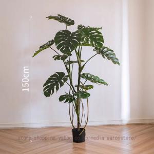 モンステラ フェイクグリーン 大型 観葉植物 ...の詳細画像4