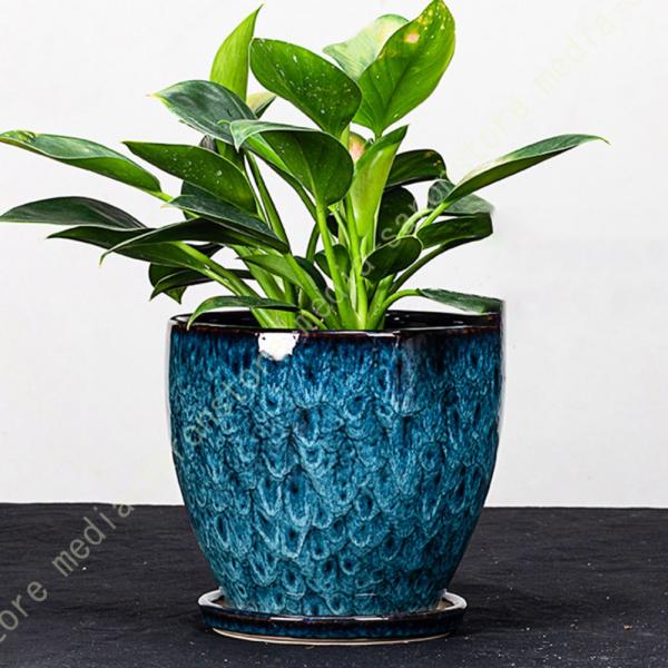 多肉植物 鉢 陶器 植木鉢 小型 底穴あり ミニ植木鉢 サボテン鉢 おしゃれ 鉢 鉢植え インテリア...