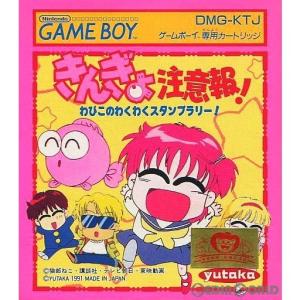 魔界村 『中古即納』{箱説明書なし}{GB} レッドアリーマー 魔界村外伝