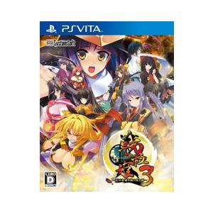 戦極姫3 〜天下を切り裂く光と影〜 通常版