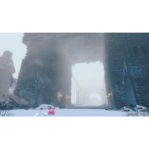『中古即納』{Switch} 星のカービィ デ...の詳細画像1