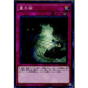 『中古即納』{TCG} 遊戯王 SD32-JP037N 量子猫(20170617)