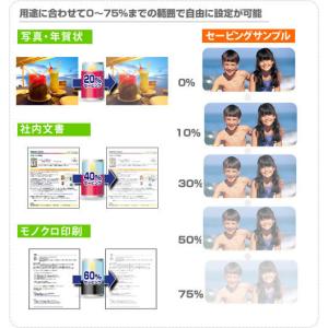 InkSaver 6 (ダウンロード版)の詳細画像5