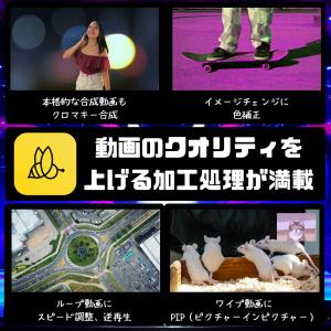 BeeCut 動画編集 永続ライセンス 自動字...の詳細画像5