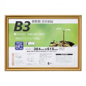 大仙 賞状額 金消-R B3 SP J045-B4400 額 額縁 がくぶち