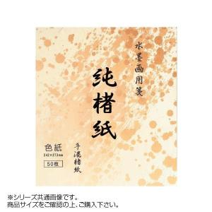 水墨画用紙　純楮紙　F-5　50枚 BC17-3　代引き不可/同梱不可｜mediaroad1290