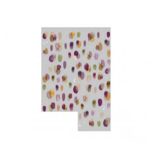 TSUMEKIRA(ツメキラ) 塗りかけ autumn NN-NRK-003　代引き不可/同梱不可