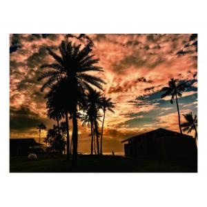 ガラスアートピクチャー HALEIWA BEACH HOUSE DE010313　代引き不可/同梱不...