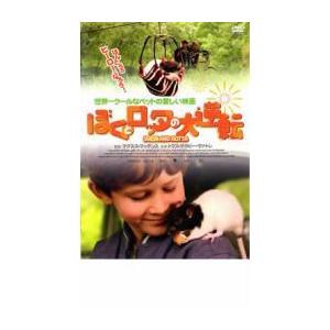 bs::ぼくとロッタの大逆転 レンタル落ち  DVD