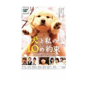 犬と私の10の約束 レンタル落ち 中古 DVD