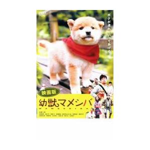 【ご奉仕価格】映画版 幼獣マメシバ レンタル落ち 中古 ケース無:: DVD