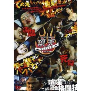 bs::STREET FIGHT 頂天 TEPPEN JAPAN 喧嘩一武道会 レンタル落ち 中古 DVD ケース無::｜mediaroad1290