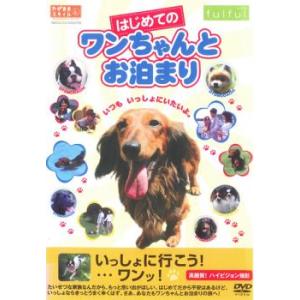 はじめてのワンちゃんとお泊り レンタル落ち 中古 DVD ケース無::