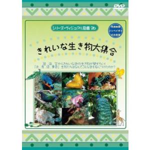 bs::シリーズ ヴィジュアル図鑑 26 きれいな生き物大集合 レンタル落ち  DVD ケース無::
