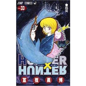 ts::HUNTER×HUNTER ハンター ハンター 33 レンタル落ち  コミック Comic