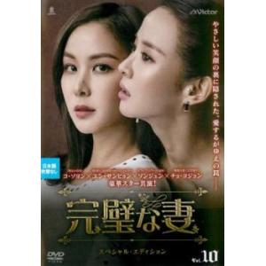 完璧な妻 スペシャル エディション 10 レンタル落ち  DVD  韓国ドラマ