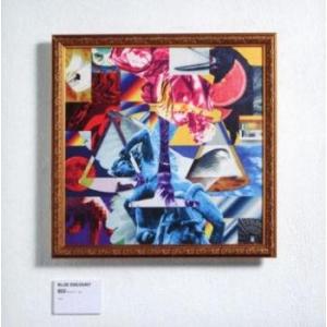 囮囚 通常盤 レンタル落ち 中古 CD ケース無::の商品画像