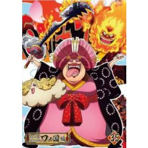 ONE PIECE ワンピース 20thシーズン ワノ国編 R-35 レンタル落ち 中古 DVD｜mediaroad1290