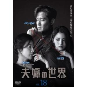 夫婦の世界 18(SP 第2話 最終)【字幕】 レンタル落ち 中古 DVD