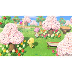 『中古即納』{Switch} あつまれ どうぶ...の詳細画像2
