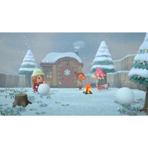 『中古即納』{Switch} あつまれ どうぶ...の詳細画像5