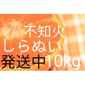 （送料無料）（しらぬい・10kg）佐賀の甘くて美味しい不知火（10kg）（訳ありご家庭用みかん・デコポンと同品種）(送料無料は東北、沖縄、北海道を除きます。)