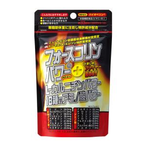 フォースコリンパワープラス 99粒 ジャパンギャルズ【メール便対応】１８種の必須アミノ酸配合！！栄養機能食品・ビタミンB1 フォースコリー