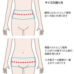 骨盤ベルト 腰痛サポートベルト 腰用コルセット...の詳細画像4