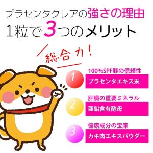 犬 猫 ペット用サプリメント 肝臓の元気は日々...の詳細画像5
