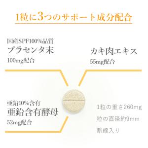 犬 猫 ペット用サプリメント 肝臓の元気は日々...の詳細画像2