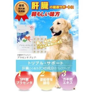 犬 猫 ペット用サプリメント 肝臓の元気は日々...の詳細画像4
