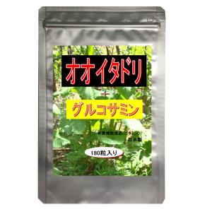 【送料無料】★まとめ買い6袋セット★ オオイタドリ+グルコサミン 300mg(180粒)×6袋 約6ヶ月分 毎日の健康をサポート  サプリ