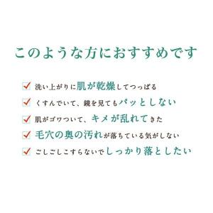 【公式】メディプラス ウォッシュパウダー 60...の詳細画像2
