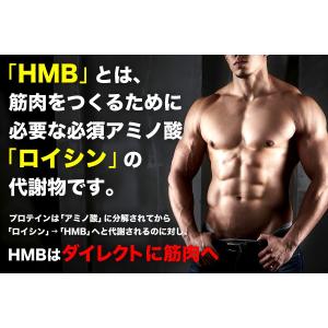 メディセレクト スポーツ HMB+EAA 必須...の詳細画像2