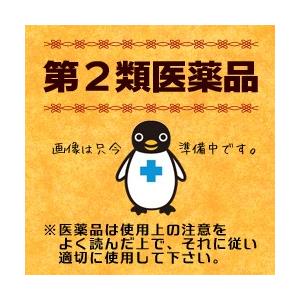 第2類医薬品 小太郎漢方製薬 酸棗仁湯エキス細粒Ｇ「コタロー」　（さんそうにんとう）　５００ｇ ※お取寄せの場合あり｜medistock