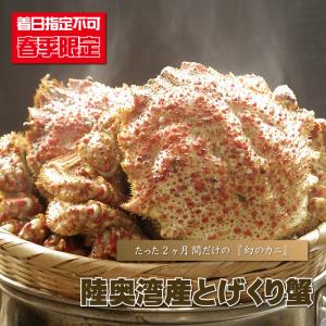 お届けは4月中旬頃より順次（予定）トゲクリガニ とげくりがに