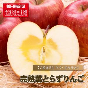 りんご 訳あり ご家庭用 津軽の完熟葉とらずりんご 5ｋｇ箱（14個-23個） 送料無料 リンゴ 林檎 ふじ フジ