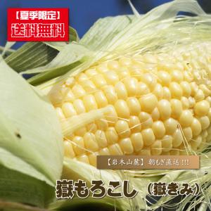 だけきみ 嶽きみ  岩木山麗の朝もぎ 嶽もろこし 10本入り