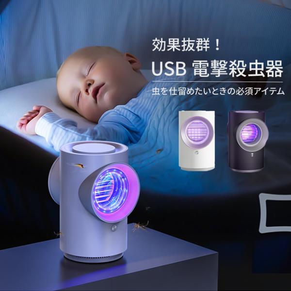[宅配便送料無料]  USB電源 電撃/吸引殺虫器 BP31【電撃殺虫器 吸引式捕虫器 小型 USB...