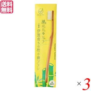 歯ブラシ ハブラシ 極細毛 FINE MEGURU 竹の歯ブラシ 超極細毛（ふつう）3本セット 送料無料｜mega-health