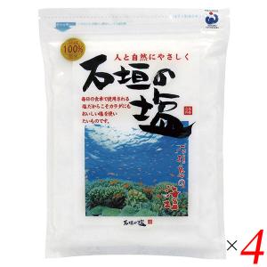 【3/29(金)限定！ポイント+9~10%！】塩 石垣島 海塩 石垣の塩 500g 4個セット 送料...