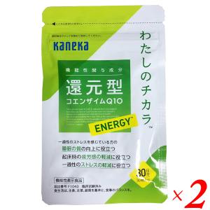 シボローカ 10.5g ( 350mg × 30粒入り ) ヘルスアップ サプリ