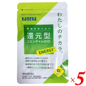 日清ファルマ ビフィコロンS 90カプセル入り 3個セット パウチ 機能性