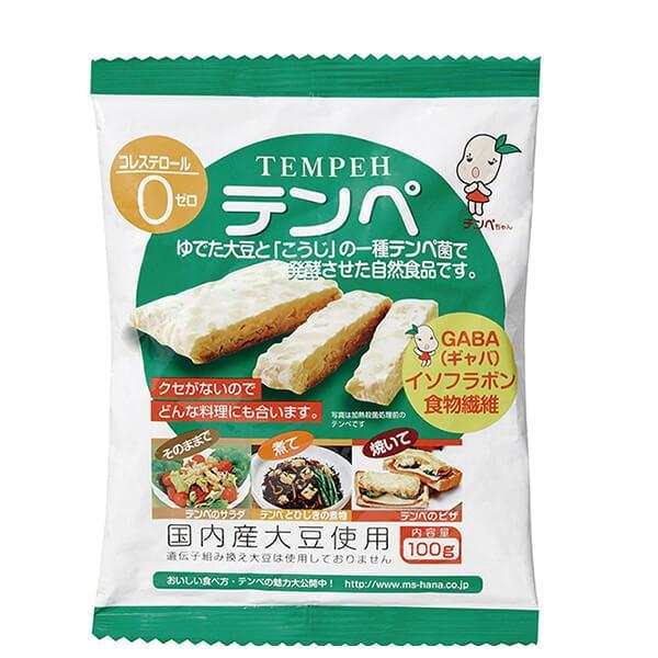 テンペ（レトルト）100g マルシン食品 国産 大豆ミート 大豆肉 送料無料