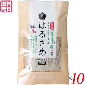 かね七（KANESICHI） 緑豆春雨 100g x20 メーカー直送 : XPRICE Yahoo