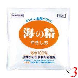 海の精 やきしお〈詰替用〉 60g 3個セット 塩 焼塩 焼き塩｜mega-health