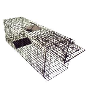 アニマルトラップ L 330ｍｍ×280ｍｍ×890ｍｍ FAC-35 シンセイ 捕獲機 踏み板式 捕獲器  トラップ 害獣対策