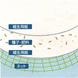 植生土のう 100枚入り ロンタイ グリーンバ...の詳細画像5